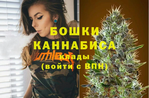 2c-b Сосновка