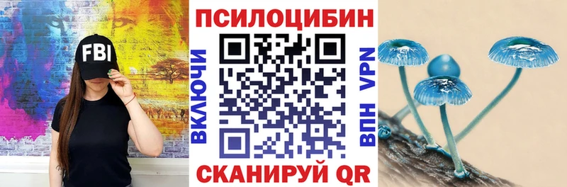 Галлюциногенные грибы Psilocybine cubensis  Плёс 